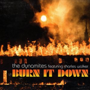 Burn It Down