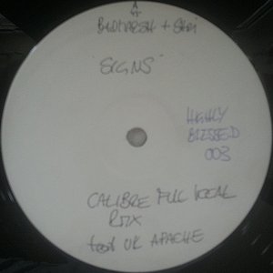 Signs (Calibre Mixes)