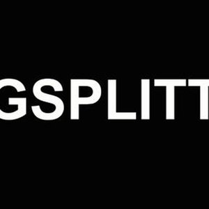 logsplitter 的头像