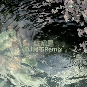 红昭愿 (摇摆DJ版)