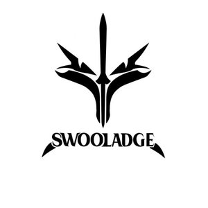 Swooladge 的头像
