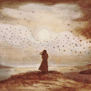 Where The Land Meets Sky