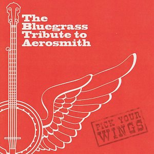 Pick Your Wings: The Bluegrass Tribute To Aerosmith