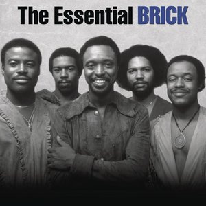 The Essential Brick