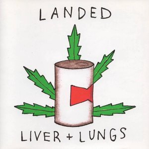 Liver + Lungs