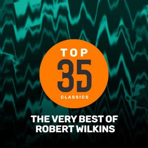 Top 35 Classics - The Very Best of Robert Wilkins