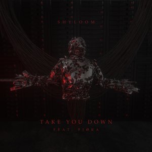 Take You Down