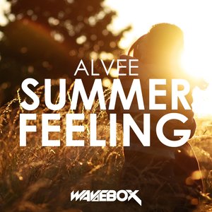 Summer Feeling