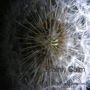 Plainly Calm