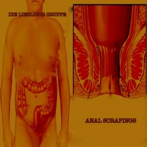 “Anal Scrapings”的封面