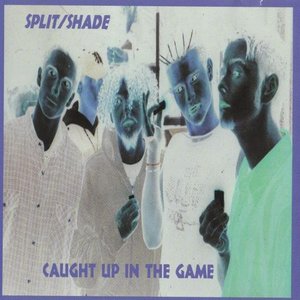 Split-Shade 的头像