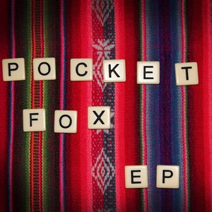 Pocket Fox のアバター