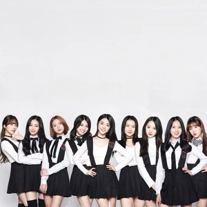 마이9美 的头像