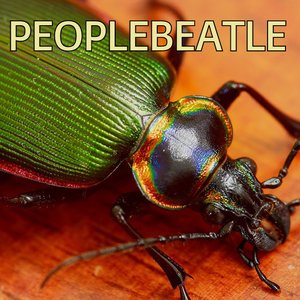 “Peoplebeatle”的封面