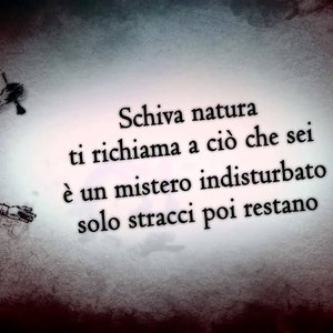 Respiro avido