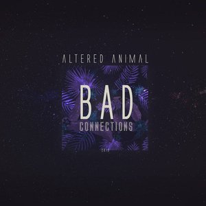 Bad Connections (Remastered)