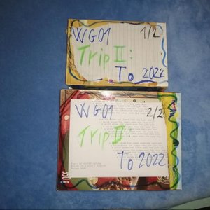 Trip II: To 2022