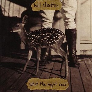 What The Night Said