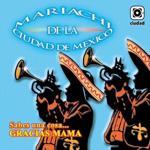 Sabes una Cosa... Gracias Mamá