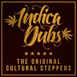 Indica Dubs için avatar