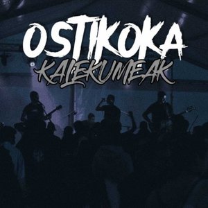 Avatar for Ostikoka