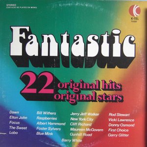 Fantastic 22 Original Hits Original Stars