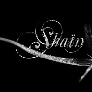 Shain 的头像
