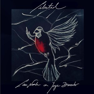 Libertad (feat. Jorge Drexler) - Single