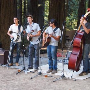 Avatar di The Bad Apple Stringband