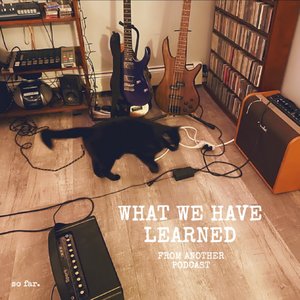 What We Have Learned from Another Podcast Thus Far