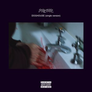 DOGHOUSE - Single