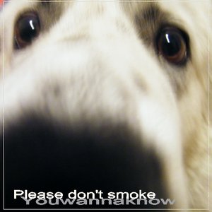 “Please don't smoke”的封面