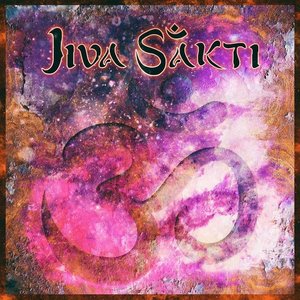 The Sound of the Universe