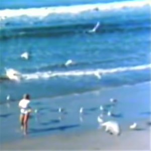 warmsand暑い砂