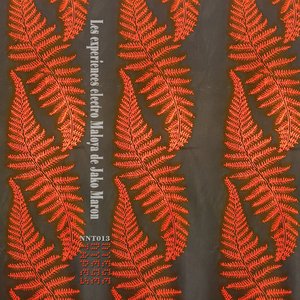 Les experiences electro Maloya de Jako Maron