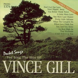 The Hits Of Vince Gill