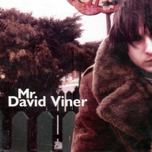 Mr. David Viner