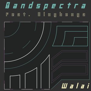 Walai (feat. Olugbenga) - Single