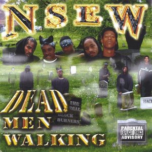 NSEW 的头像