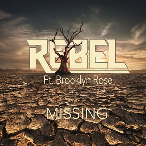 Missing (feat. Brooklyn Rose)