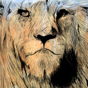 Lionshare