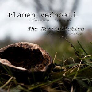 Immagine per 'The Horripilation'