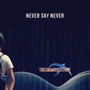 Never Say Never (Official Mix) - Single