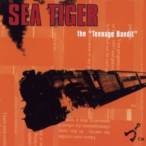 The Teenage Bandit