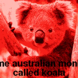 Avatar de Some australian monkey known as koala