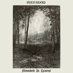 Shrouded In Leaves