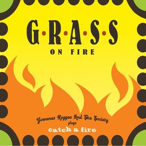 Grass On Fire