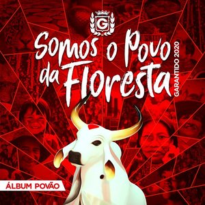 Somos o Povo da Floresta