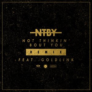 Not Thinkin' Bout You (feat. GoldLink) [Remix] - Single