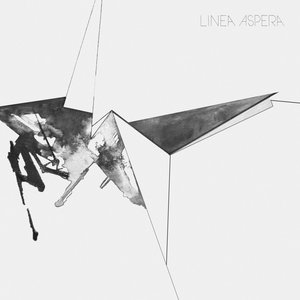 Image for 'Linea Aspera'